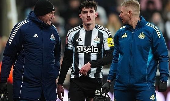 邮报：纽卡后卫利夫拉门托腿筋受伤，将缺席六到八周